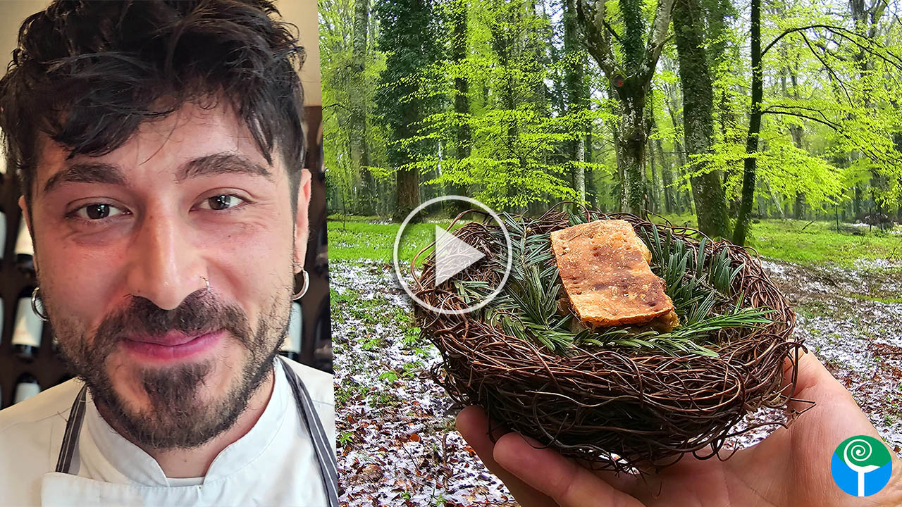 Turismo in Foresta Umbra, per Pasquetta è protagonista il cavicione Ischitellano Turismo in Foresta Umbra, per Pasquetta è protagonista il cavicione Ischitellano