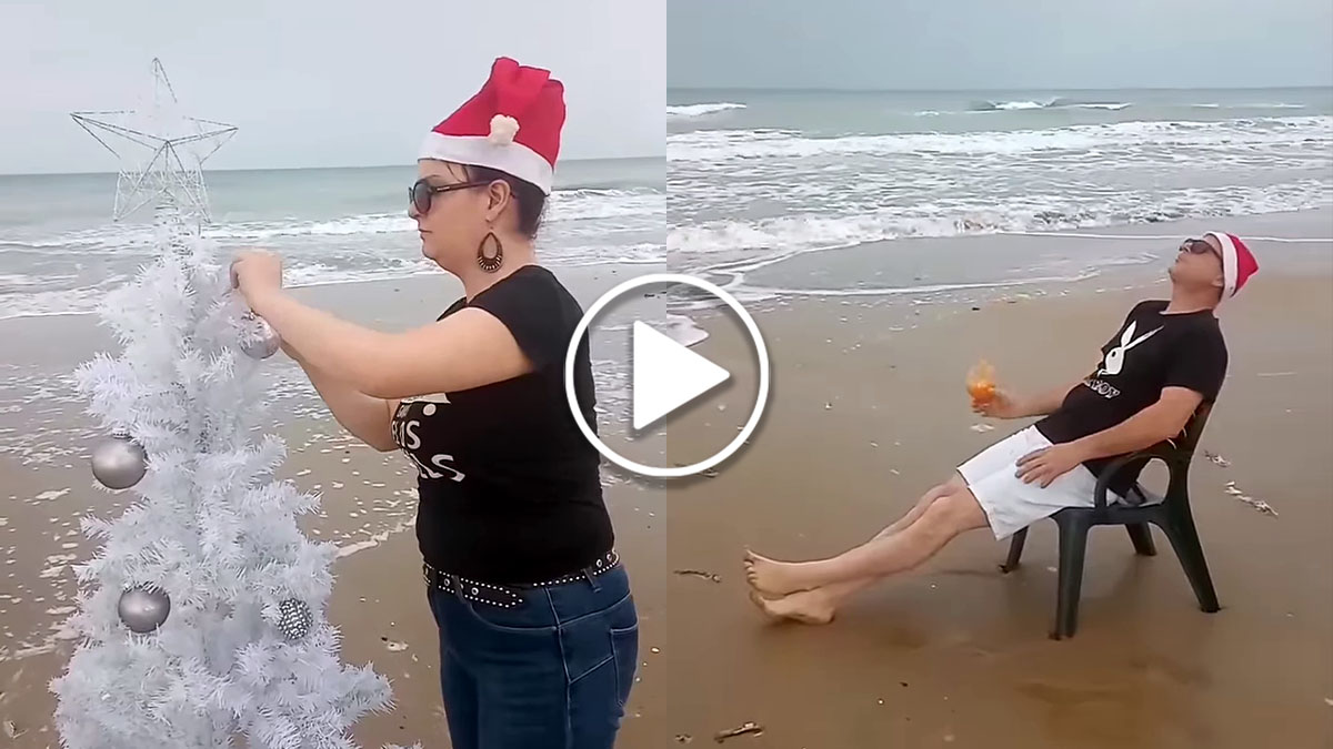 Maggio che sembra Dicembre: a Capoiale si scherza e fanno l’albero di Natale in spiaggia Maggio che sembra Dicembre: a Capoiale si scherza e fanno l’albero di Natale in spiaggia