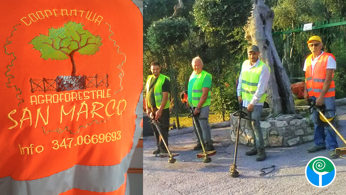 Lavorare con la natura: la Cooperativa Agroforestale San Marco al servizio dell’ambiente Lavorare con la natura: la Cooperativa Agroforestale San Marco al servizio dell’ambiente