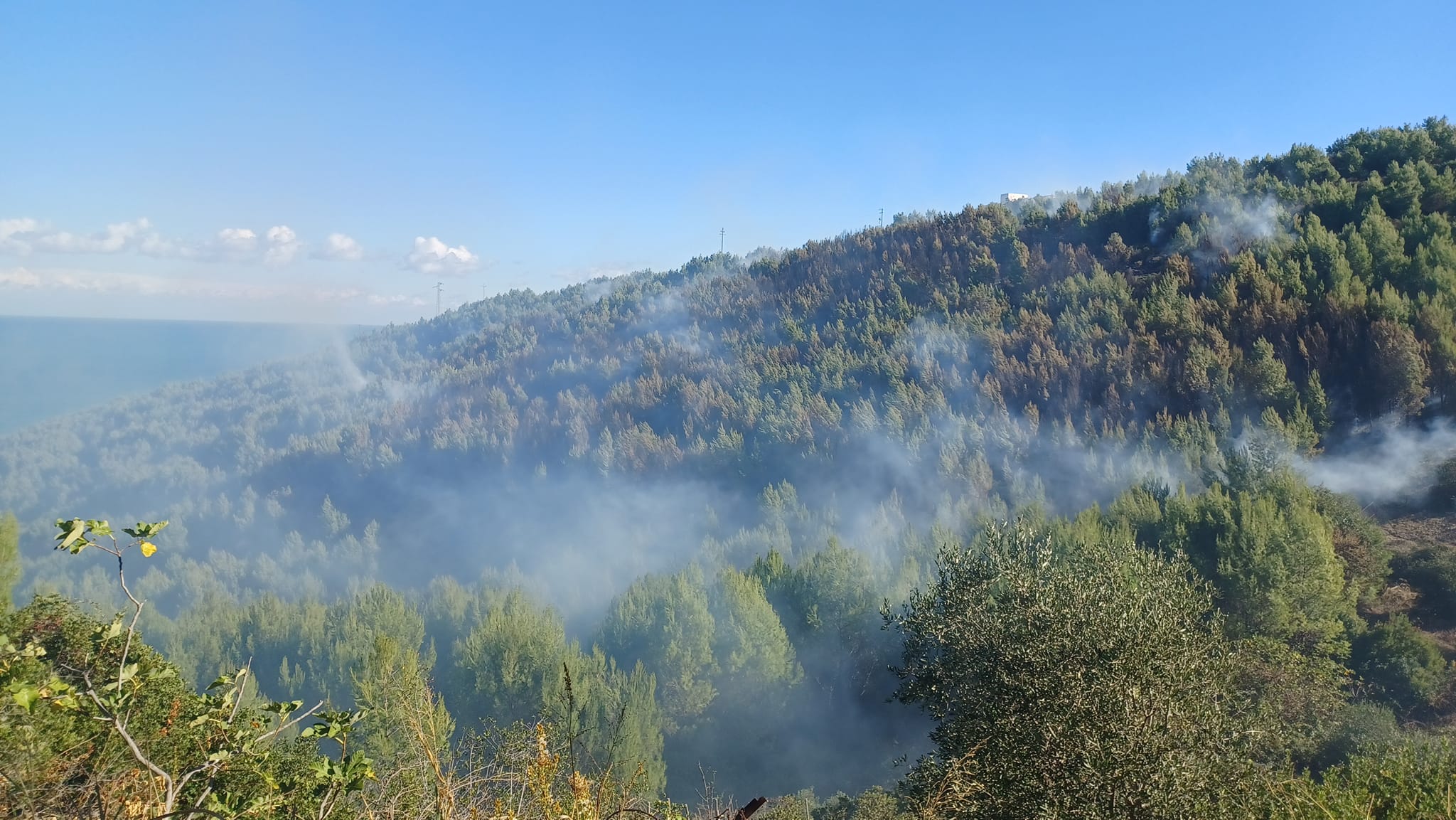Incendi, oltre 2mila ettari andati in fumo in Puglia dall’inizio dell’anno Incendi, oltre 2mila ettari andati in fumo in Puglia dall’inizio dell’anno
