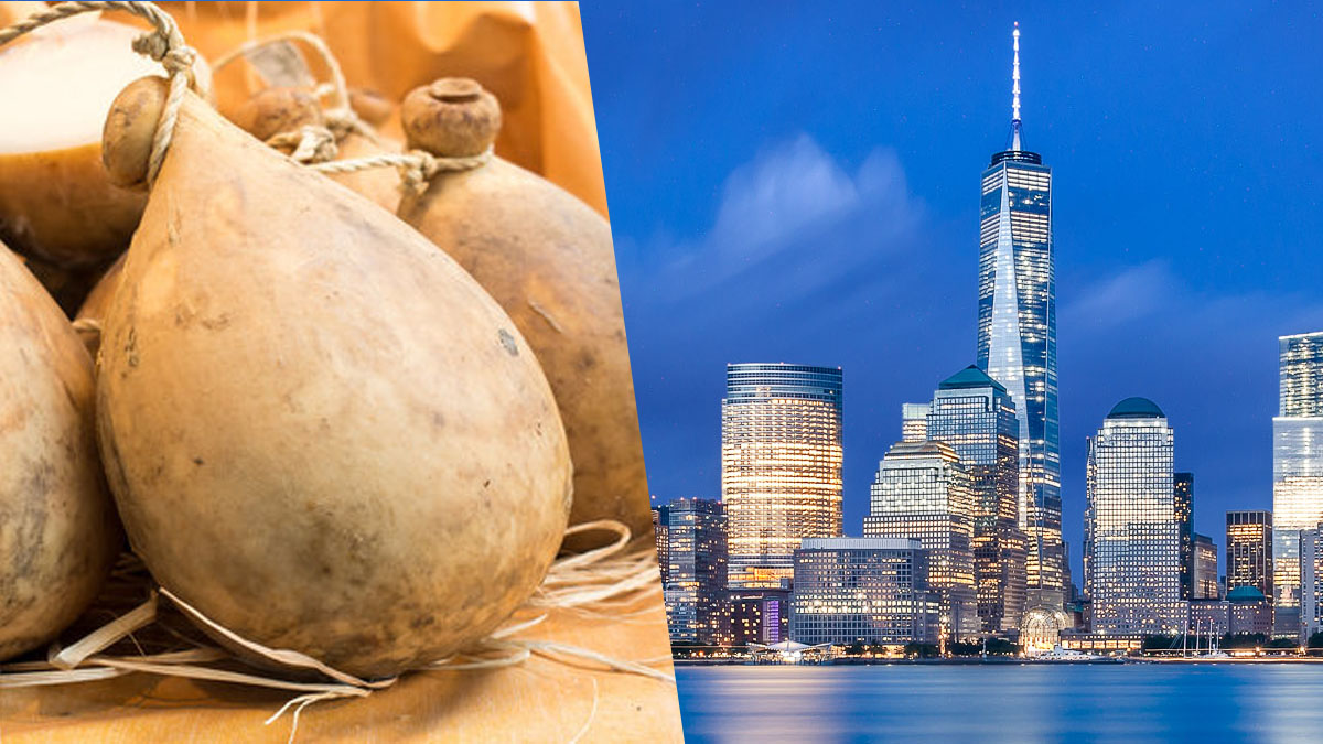 caciocavallo-newyork