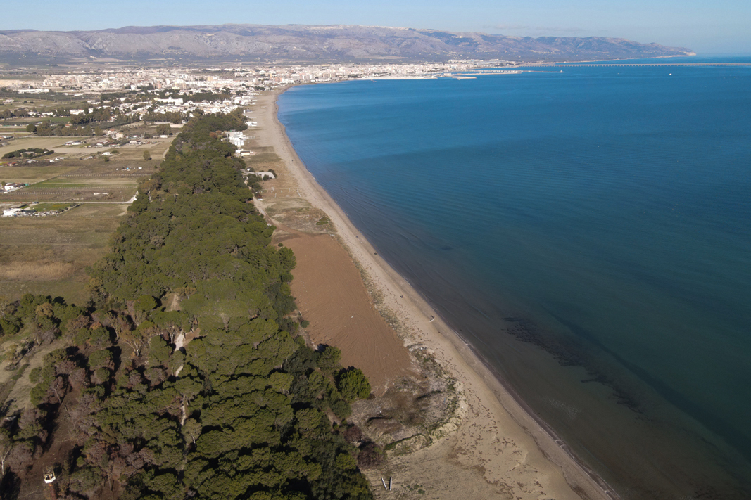 Siponto, cumoli di Posidonia abbandonata da anni in un chilometro di spiaggia libera Siponto, cumoli di Posidonia abbandonata da anni in un chilometro di spiaggia libera