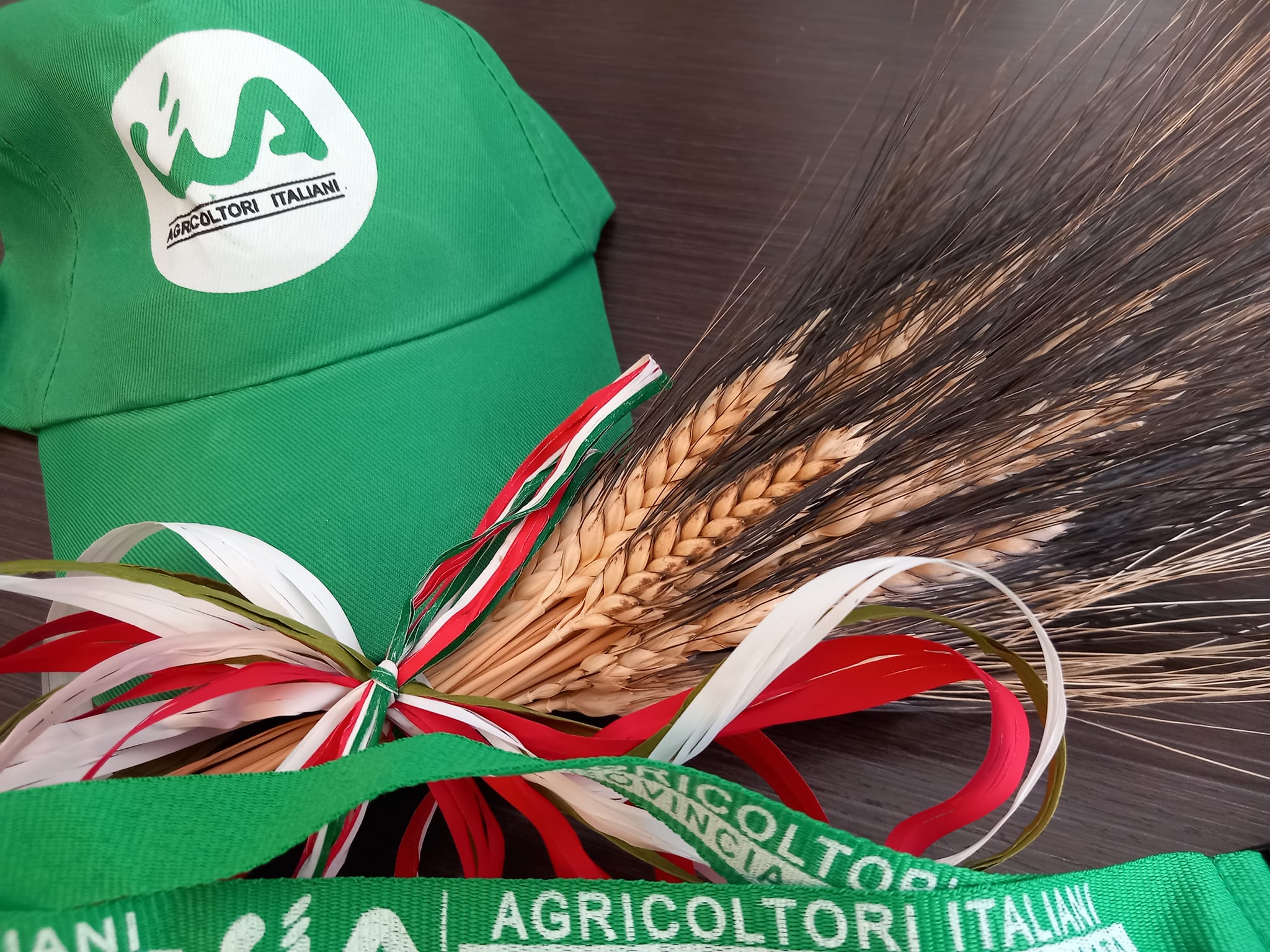 Tir di grano estero a Manfredonia, Cia Puglia: “È questo il made in Italy?” Tir di grano estero a Manfredonia, Cia Puglia: “È questo il made in Italy?”