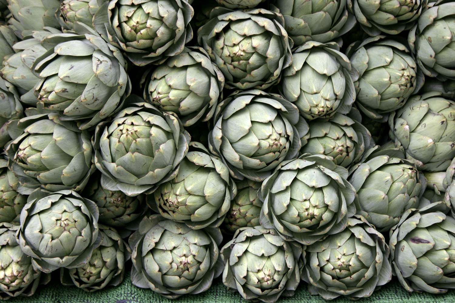 -_Carciofi_-