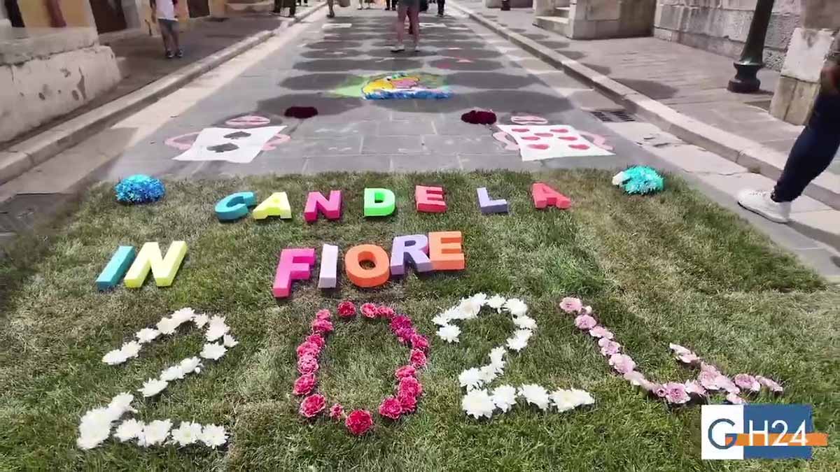 Tra tappeti di fiori e tante attività, successo per Candela in Fiore 2024 Tra tappeti di fiori e tante attività, successo per Candela in Fiore 2024