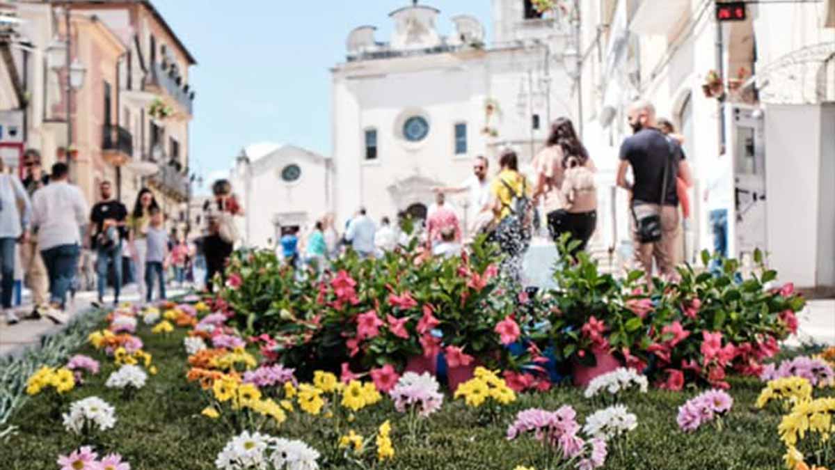 “Candela in Fiore” torna con grandi novità “Candela in Fiore” torna con grandi novità