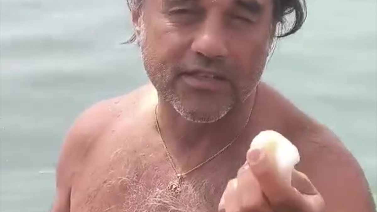 Seppia fresca alla Cunzarje di Manfredonia: è la più buona leccornia che ci sia Seppia fresca alla Cunzarje di Manfredonia: è la più buona leccornia che ci sia