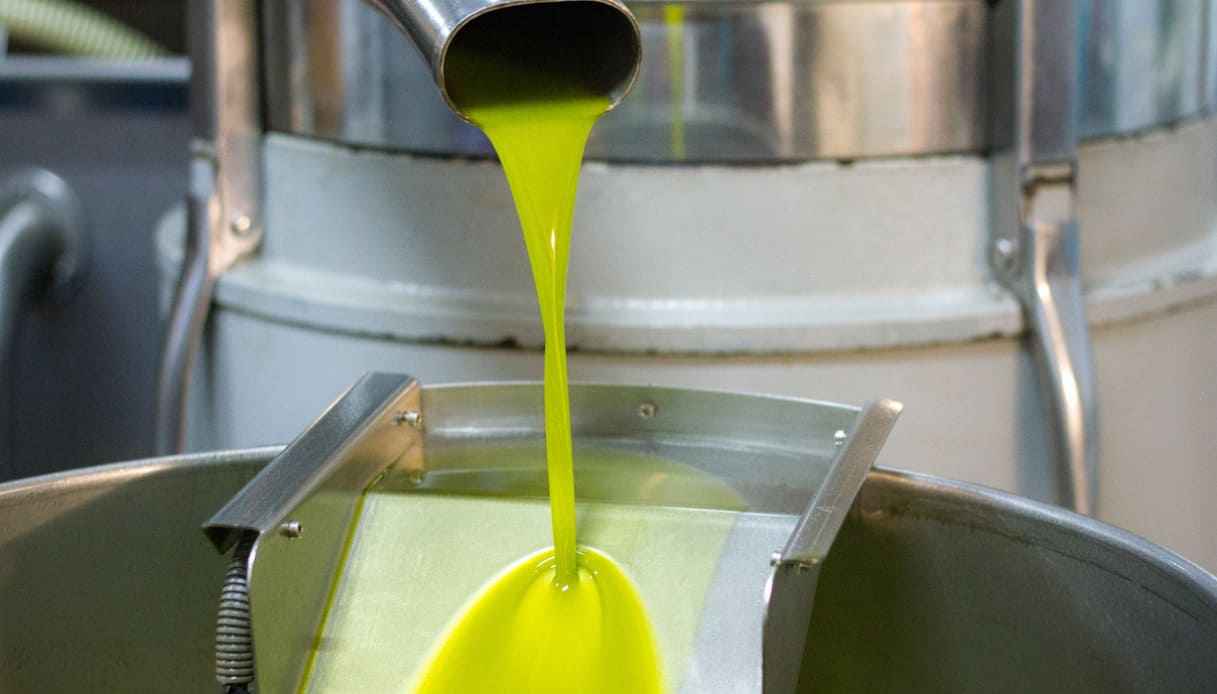 Olio extravergine, prezzi giù del 27%: Coldiretti denuncia speculazioni in Puglia Olio extravergine, prezzi giù del 27%: Coldiretti denuncia speculazioni in Puglia