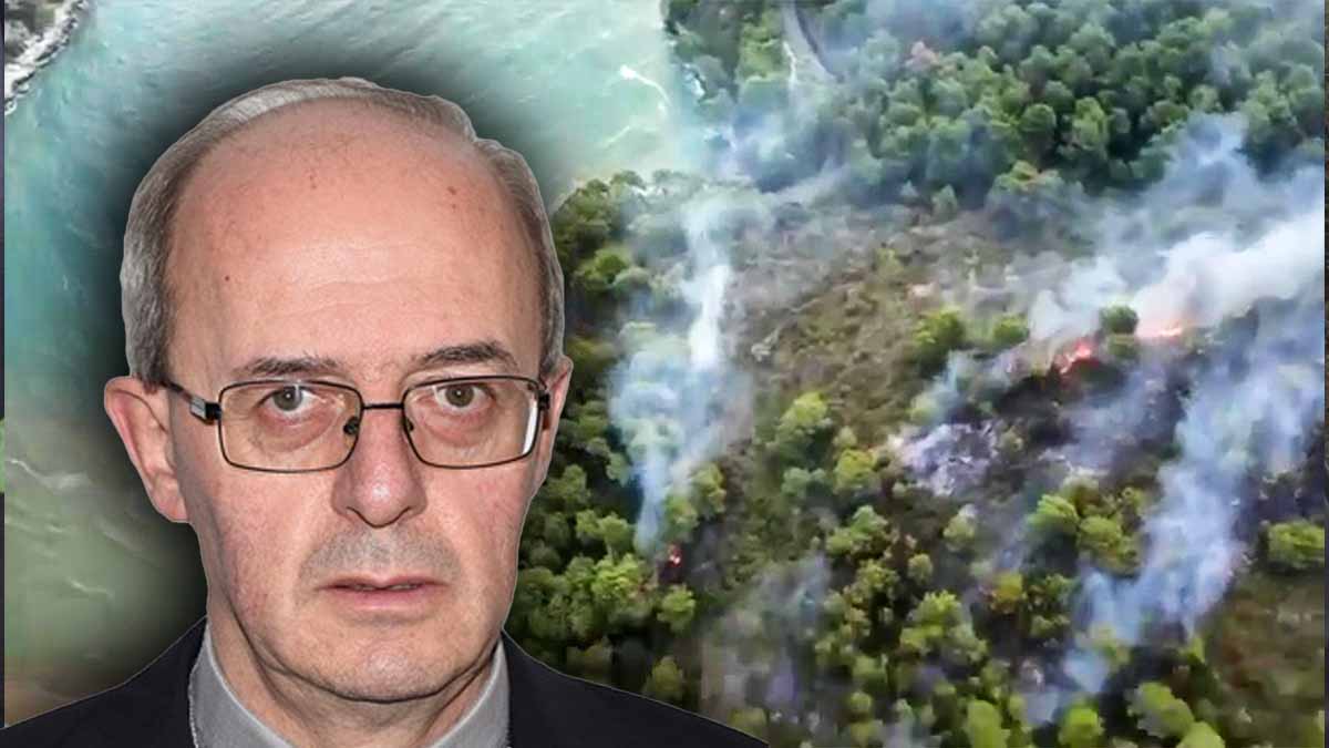 Incendio Vieste, Padre Moscone: “Gesto criminale contro l’umanità di oggi e di domani” Incendio Vieste, Padre Moscone: “Gesto criminale contro l’umanità di oggi e di domani”