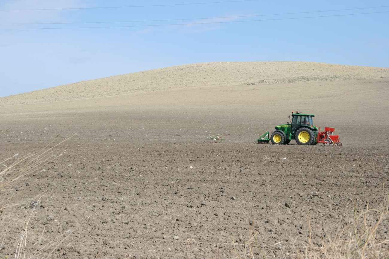 Siccità, CIA Puglia: “Raccolti dimezzati, si riconosca lo Stato di Calamità” Siccità, CIA Puglia: “Raccolti dimezzati, si riconosca lo Stato di Calamità”