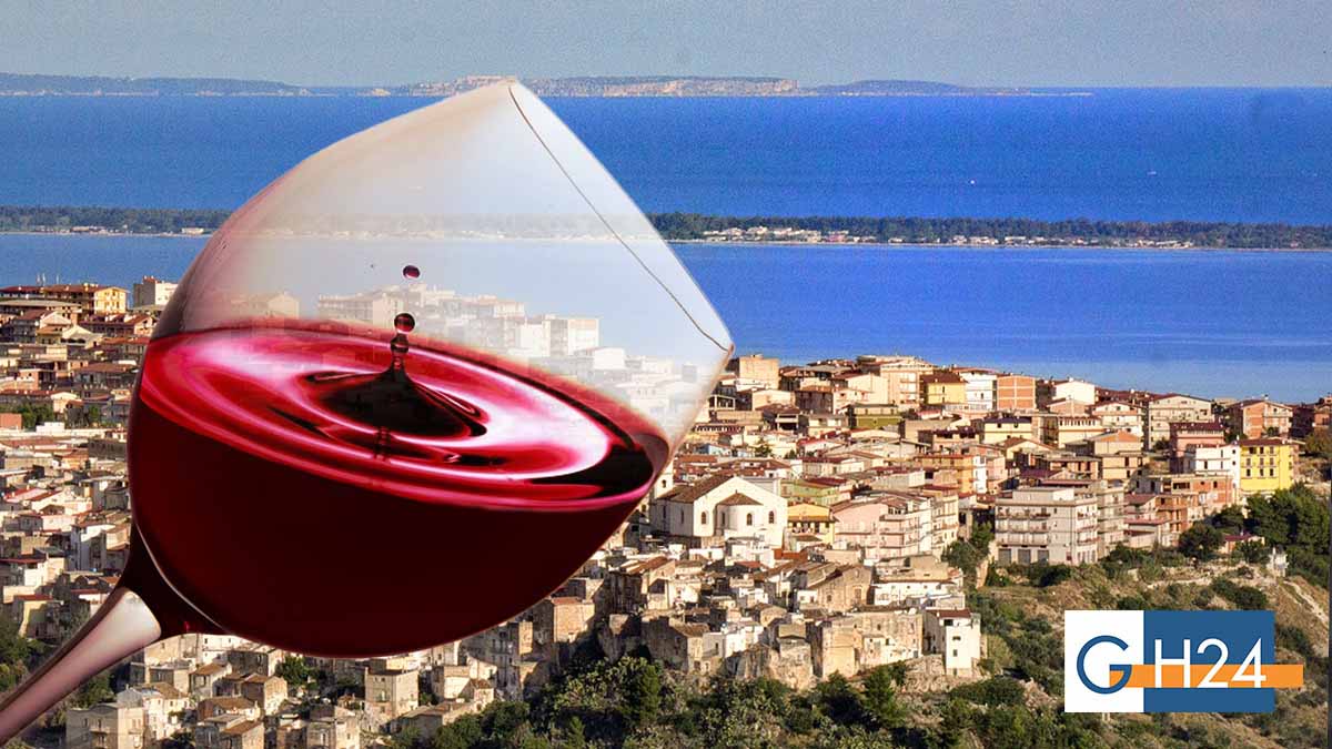 Torna il Wine Fest di Cagnano Varano: l’11ª edizione tra vini di Capitanata e sapori garganici Torna il Wine Fest di Cagnano Varano: l’11ª edizione tra vini di Capitanata e sapori garganici
