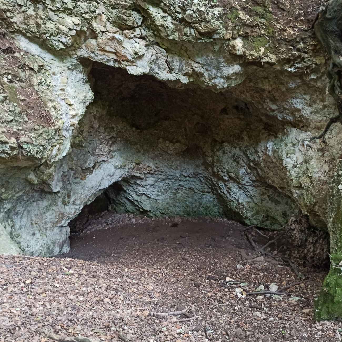 Concluso il sentiero che collega Carpino a Ischitella: 12 km di Gargano incontaminato Concluso il sentiero che collega Carpino a Ischitella: 12 km di Gargano incontaminato