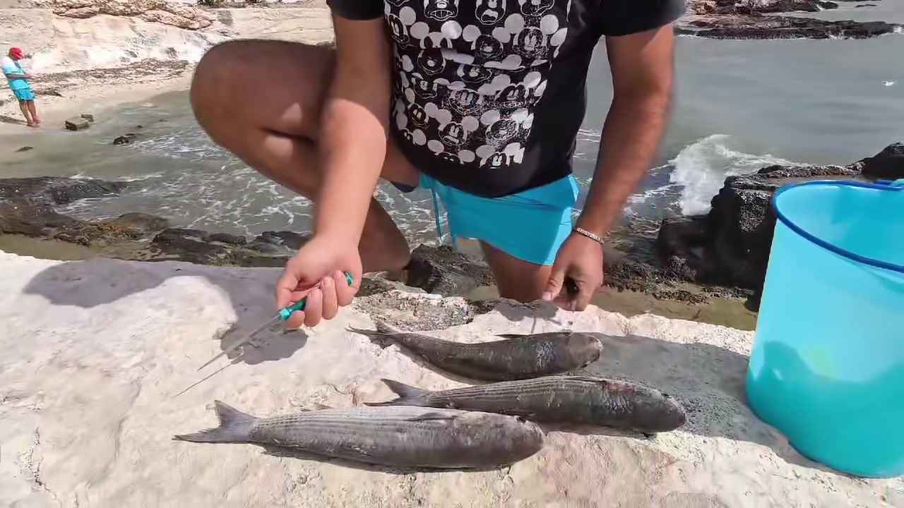 La pulizia del cefalo alla Cunzarje di Manfredonia: il vero gusto del mare La pulizia del cefalo alla Cunzarje di Manfredonia: il vero gusto del mare