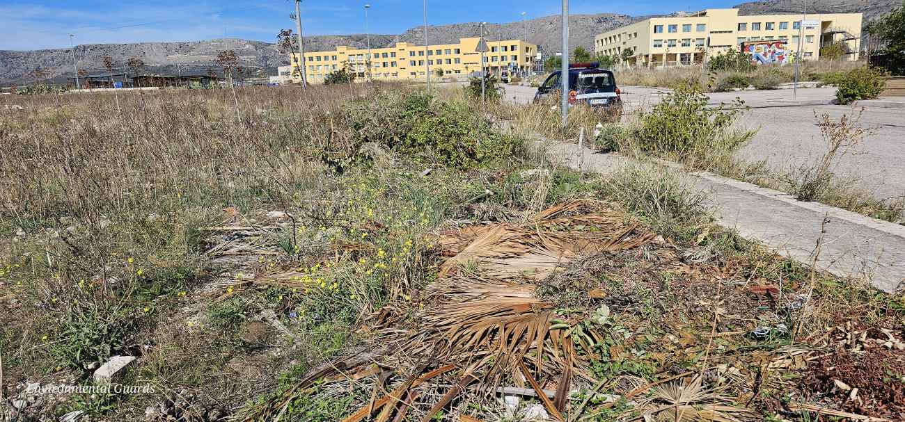 Manfredonia, abbandono illegale di scarti di potatura in strada Manfredonia, abbandono illegale di scarti di potatura in strada