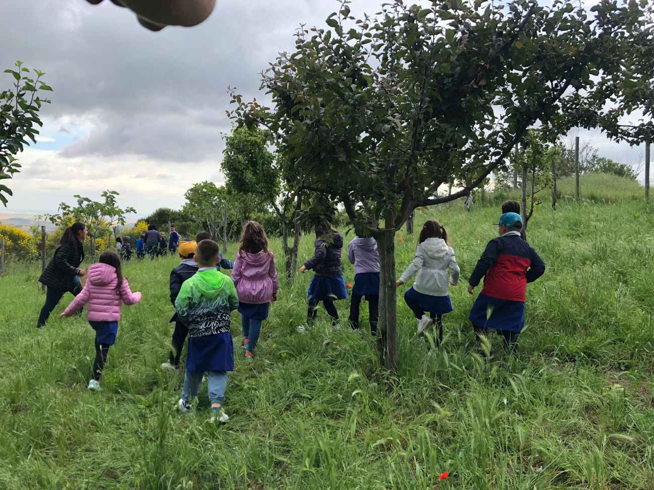 Orsara di Puglia, gli studenti piantano i “frutti dimenticati” nei parchetti della biodiversità Orsara di Puglia, gli studenti piantano i “frutti dimenticati” nei parchetti della biodiversità