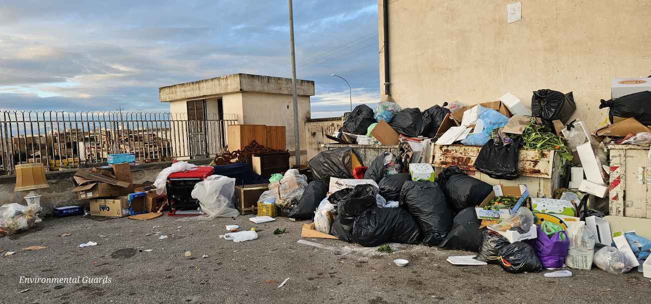 Manfredonia, Guardie Ambientali Italiane: “In viale Padre Pio si abbandonano rifiuti di ogni genere” Manfredonia, Guardie Ambientali Italiane: “In viale Padre Pio si abbandonano rifiuti di ogni genere”