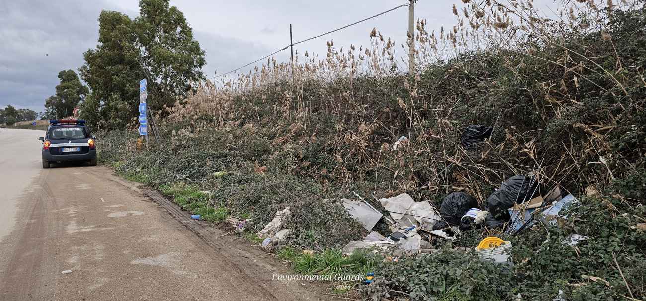 Manfredonia: “Pericolo arbusti e vegetazione a pochi centimetri della SP.141 per le saline” Manfredonia: “Pericolo arbusti e vegetazione a pochi centimetri della SP.141 per le saline”