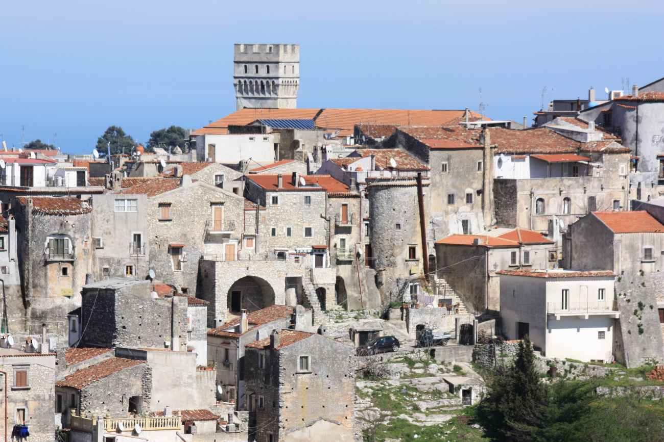 Vico del Gargano e le sue scelte: benvenuto 2025 Vico del Gargano e le sue scelte: benvenuto 2025