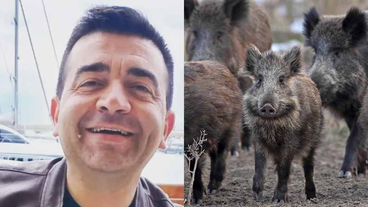 Giosuè Del Vecchio: “Affronterò l’emergenza cinghiali in tutta la Provincia di Foggia con il mio nuovo incarico all’ATC” Giosuè Del Vecchio: “Affronterò l’emergenza cinghiali in tutta la Provincia di Foggia con il mio nuovo incarico all’ATC”