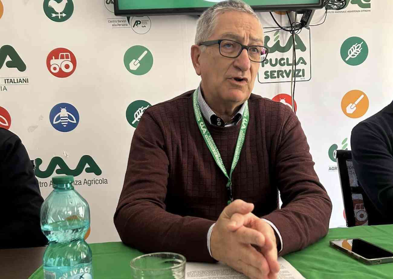 Agricoltura, dopo lo stop del 2025, sblocco delle concessioni demaniali in Capitanata Agricoltura, dopo lo stop del 2025, sblocco delle concessioni demaniali in Capitanata