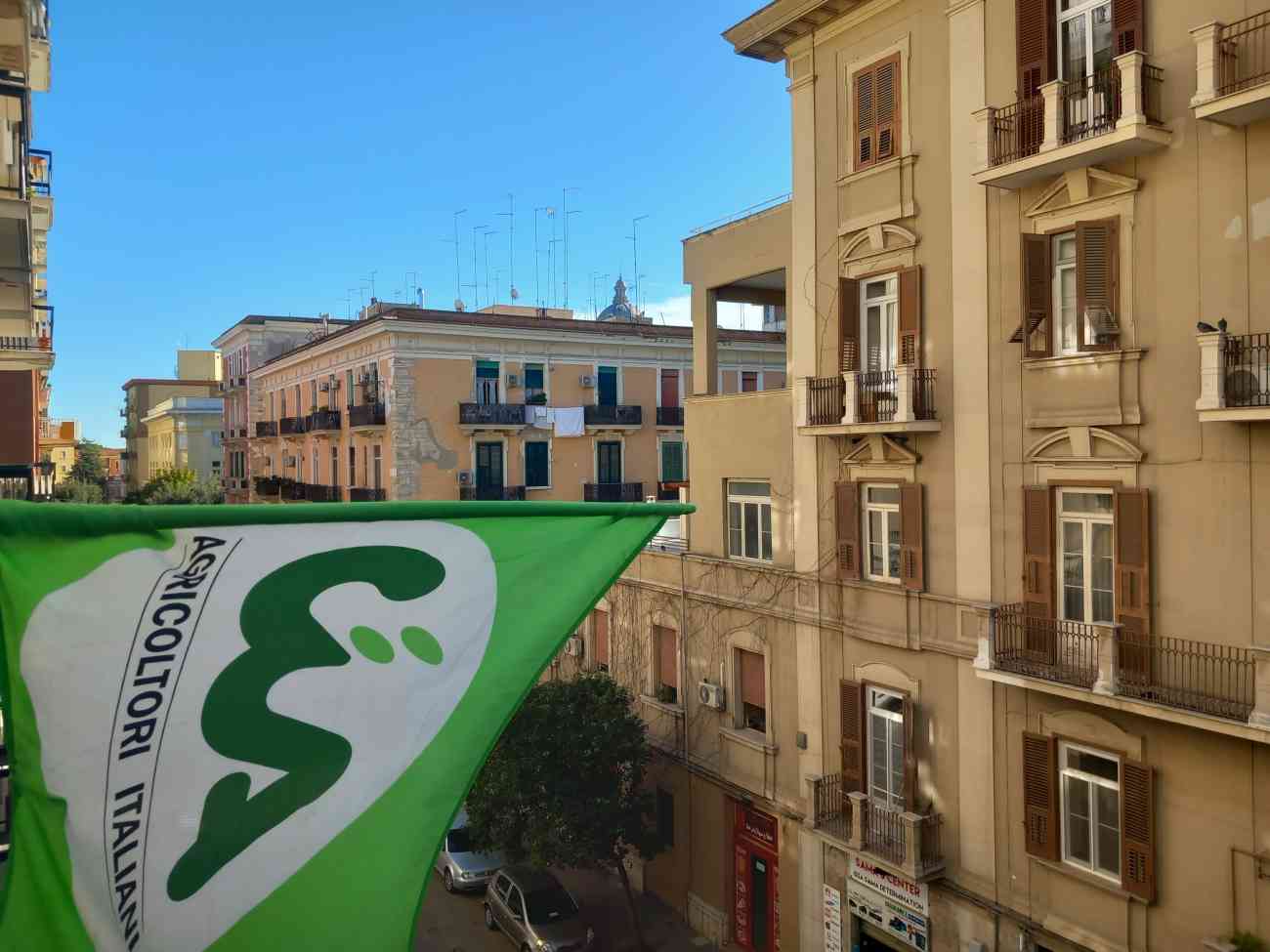 Agricoltura, trasporto e strade rurali: CIA Capitanata chiede un incontro al Comune di Foggia Agricoltura, trasporto e strade rurali: CIA Capitanata chiede un incontro al Comune di Foggia
