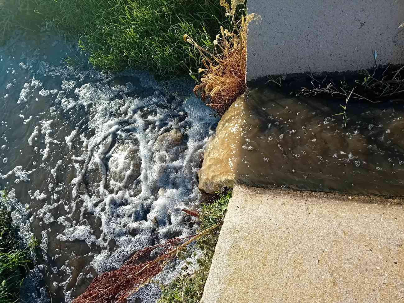 Sversamenti fognari non depurati nel Golfo di Manfredonia: la denuncia di Marasco Sversamenti fognari non depurati nel Golfo di Manfredonia: la denuncia di Marasco
