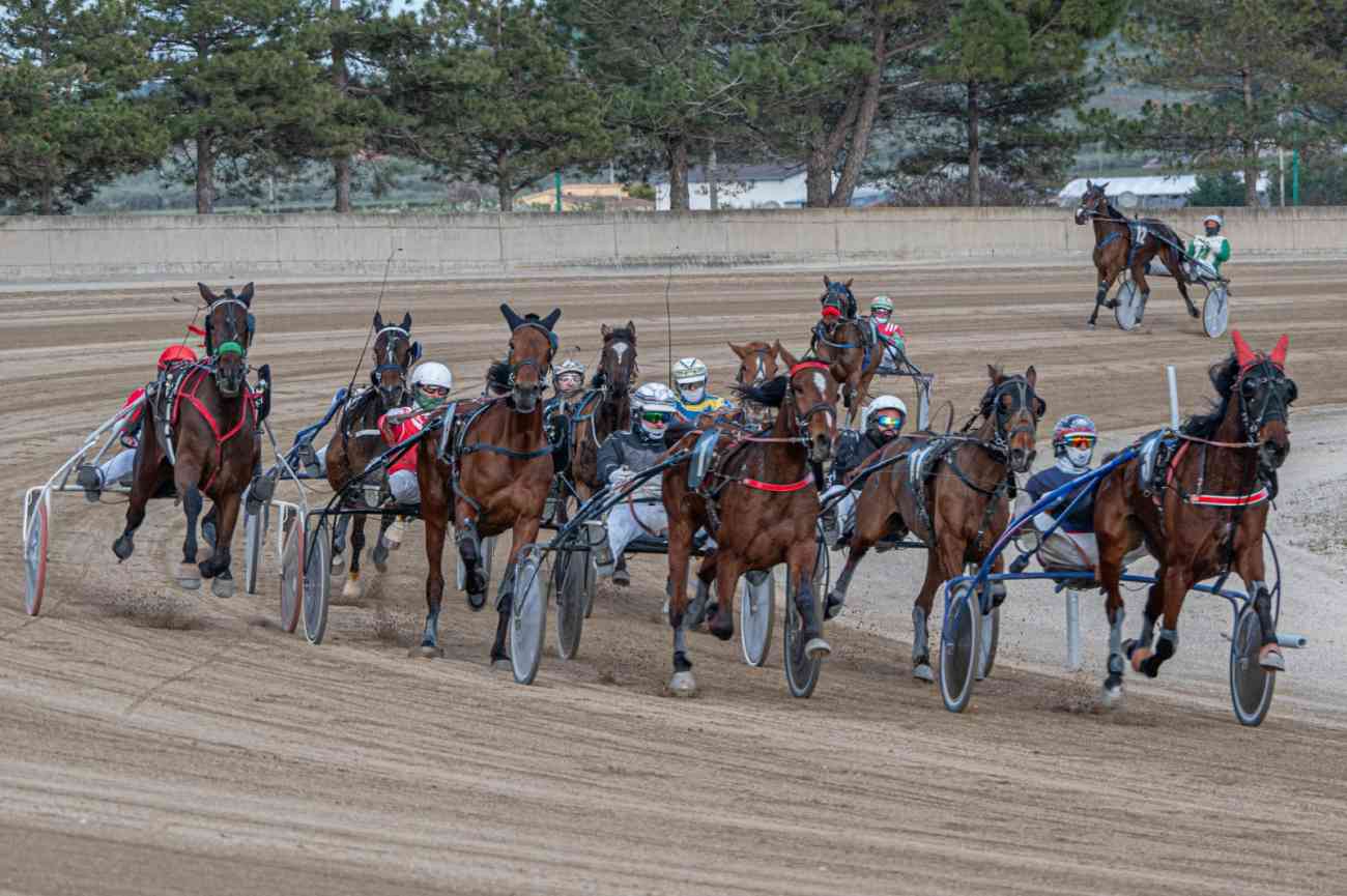 Ippodromo dei Sauri, conclusa la stagione primaverile Ippodromo dei Sauri, conclusa la stagione primaverile