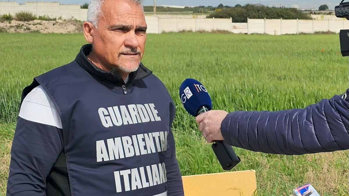 Manfredonia, Guardie Ambientali Italiane: “Raccolta differenziata nelle zone rurali è ormai insostenibile” Manfredonia, Guardie Ambientali Italiane: “Raccolta differenziata nelle zone rurali è ormai insostenibile”