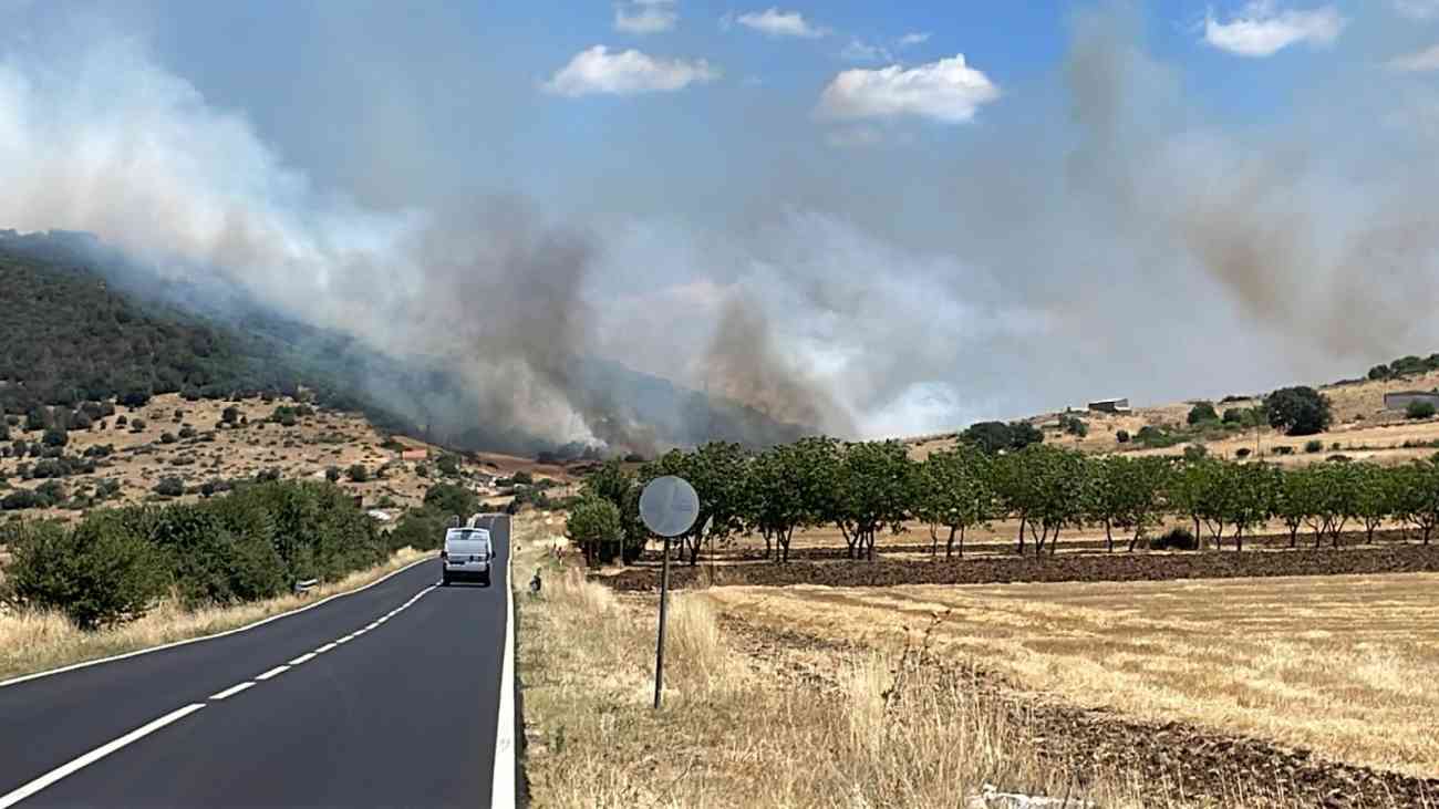 Vasto incendio a San Giovanni Rotondo in zona Campolato, interrotta la SP 43 e la SS 272 Vasto incendio a San Giovanni Rotondo in zona Campolato, interrotta la SP 43 e la SS 272