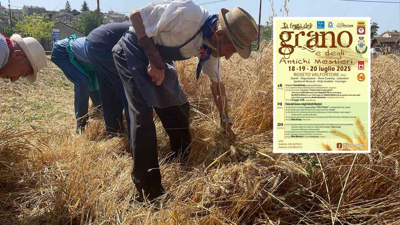 La Cultura Contadina protagonista a Roseto Valfortore: torna la Festa del Grano e degli Antichi Mestieri La Cultura Contadina protagonista a Roseto Valfortore: torna la Festa del Grano e degli Antichi Mestieri