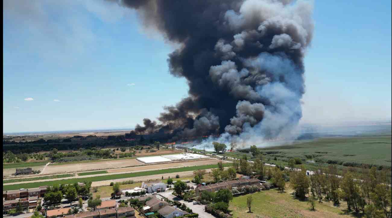 Guardie Ambientali Italiane: “Gli incendi boschivi sono diventati un business economico inarrestabile” Guardie Ambientali Italiane: “Gli incendi boschivi sono diventati un business economico inarrestabile”