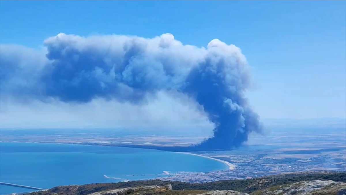 L’inferno di Oasi Lago Salso: l’incendio ha percorso 800 ettari di terreno L’inferno di Oasi Lago Salso: l’incendio ha percorso 800 ettari di terreno