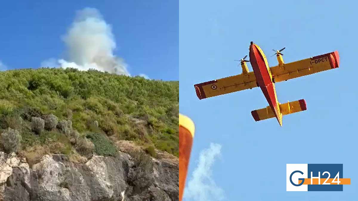 Incendio nella Baia di San Nicola a Peschici, canadair e squadre a terra per lo spegnimento Incendio nella Baia di San Nicola a Peschici, canadair e squadre a terra per lo spegnimento