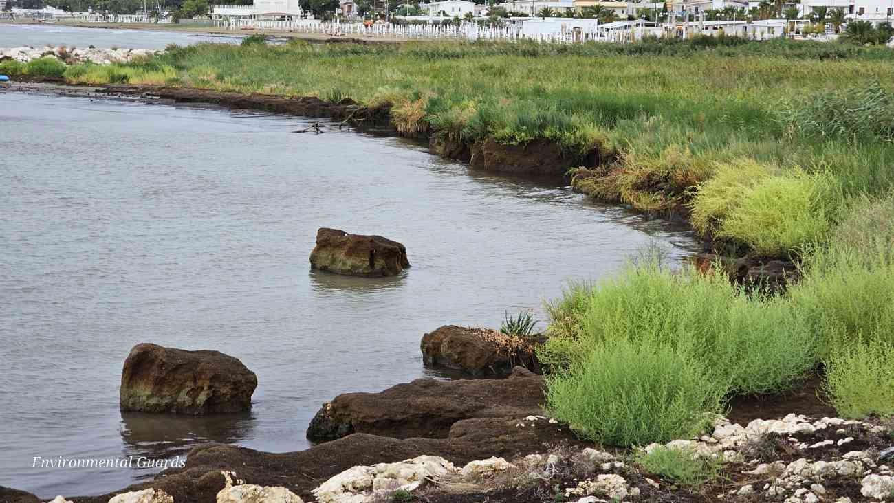 Manfredonia, Guardie Ambientali Italiane: “Da danno ambientale, a valore aggiunto?” Manfredonia, Guardie Ambientali Italiane: “Da danno ambientale, a valore aggiunto?”