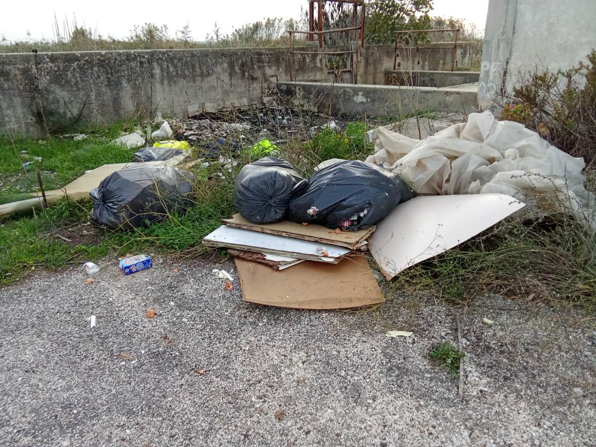 Oasi Lago Salso: dopo l’incendio, abbandono indiscriminato di rifiuti Oasi Lago Salso: dopo l’incendio, abbandono indiscriminato di rifiuti