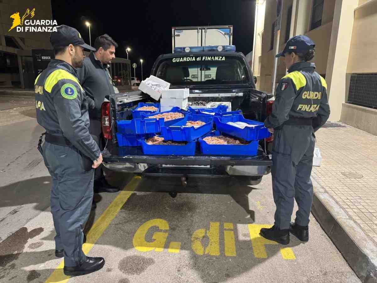 Finanza sequestra 115 kg di pesce non tracciato e li dona a un ente solidale Finanza sequestra 115 kg di pesce non tracciato e li dona a un ente solidale