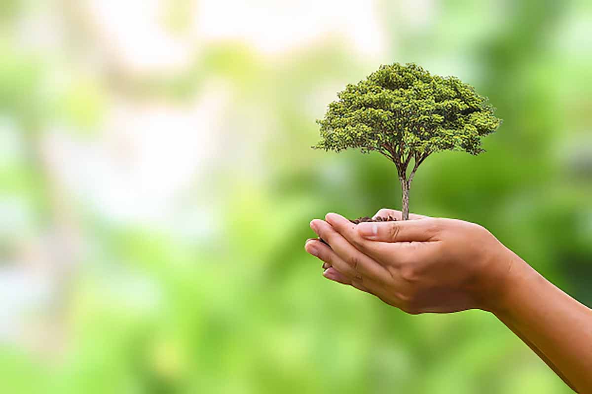 “Giustizia sociale e conversione ecologica”: convegno a Vico del Gargano “Giustizia sociale e conversione ecologica”: convegno a Vico del Gargano