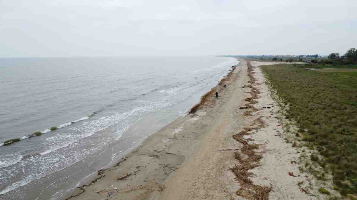 Manfredonia, degrado ambientale lungo la Riviera sud: l’appello delle Guardie Ambientali Italiane Manfredonia, degrado ambientale lungo la Riviera sud: l’appello delle Guardie Ambientali Italiane