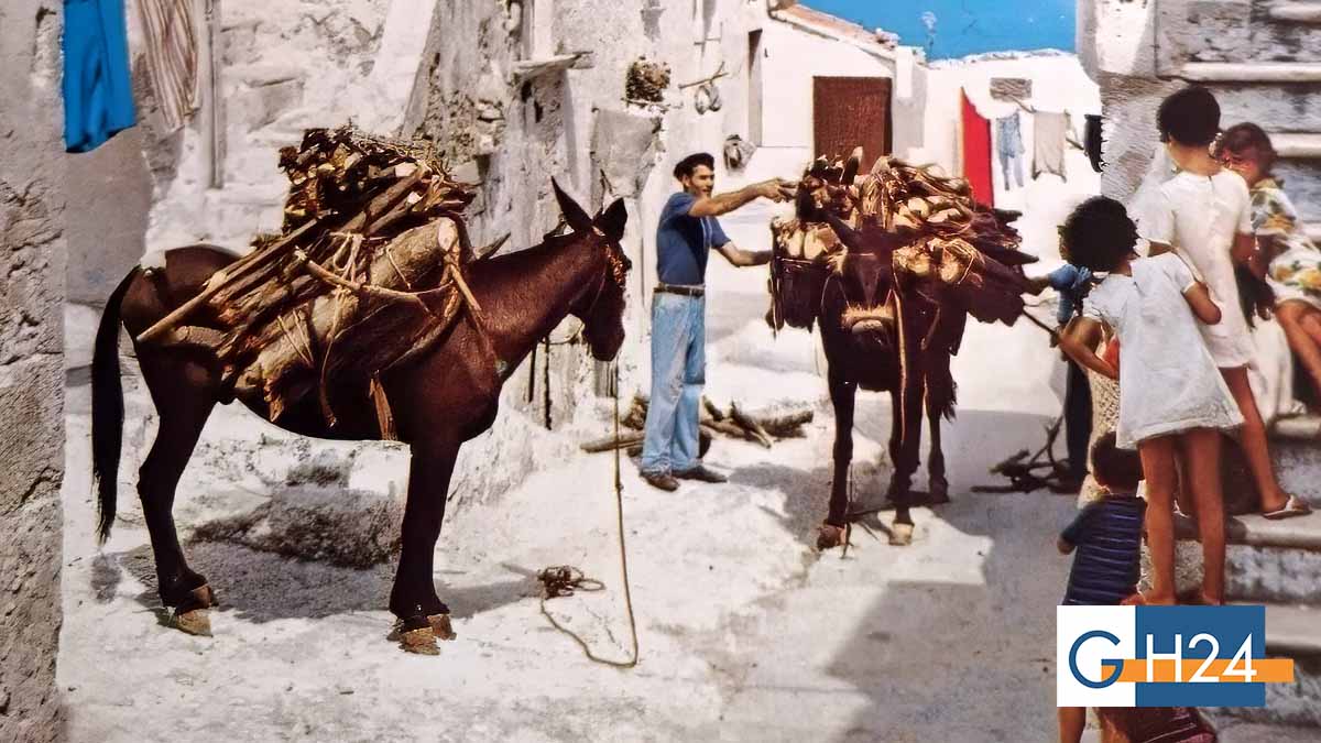 Peschici torna agli anni ’60: in scena una nuova commedia vernacolare Peschici torna agli anni ’60: in scena una nuova commedia vernacolare