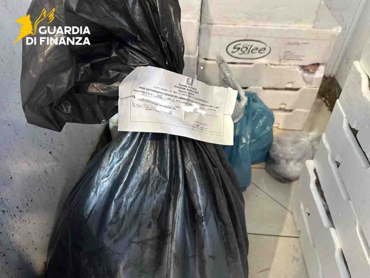Pescheria nel barese nei guai: sequestrati 30 kg di prodotti ittici e trovato personale irregolare Pescheria nel barese nei guai: sequestrati 30 kg di prodotti ittici e trovato personale irregolare