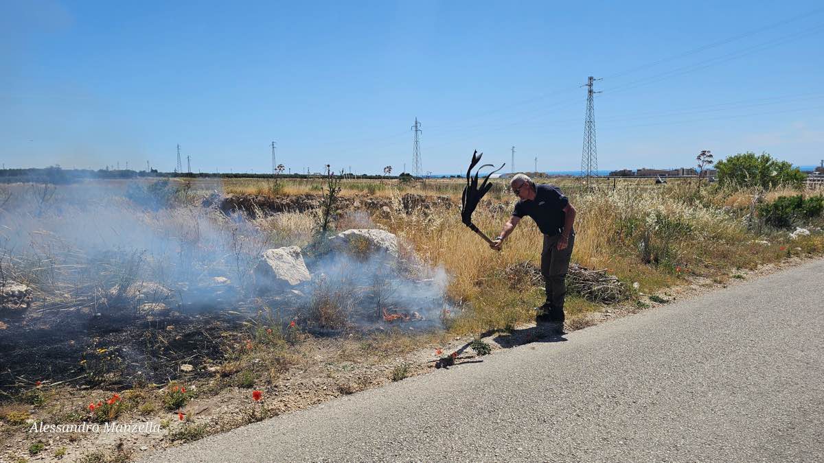 Manfredonia, incendio alla Castellana: sterpaglie e rifiuti in fiamme lungo la SP57 Manfredonia, incendio alla Castellana: sterpaglie e rifiuti in fiamme lungo la SP57