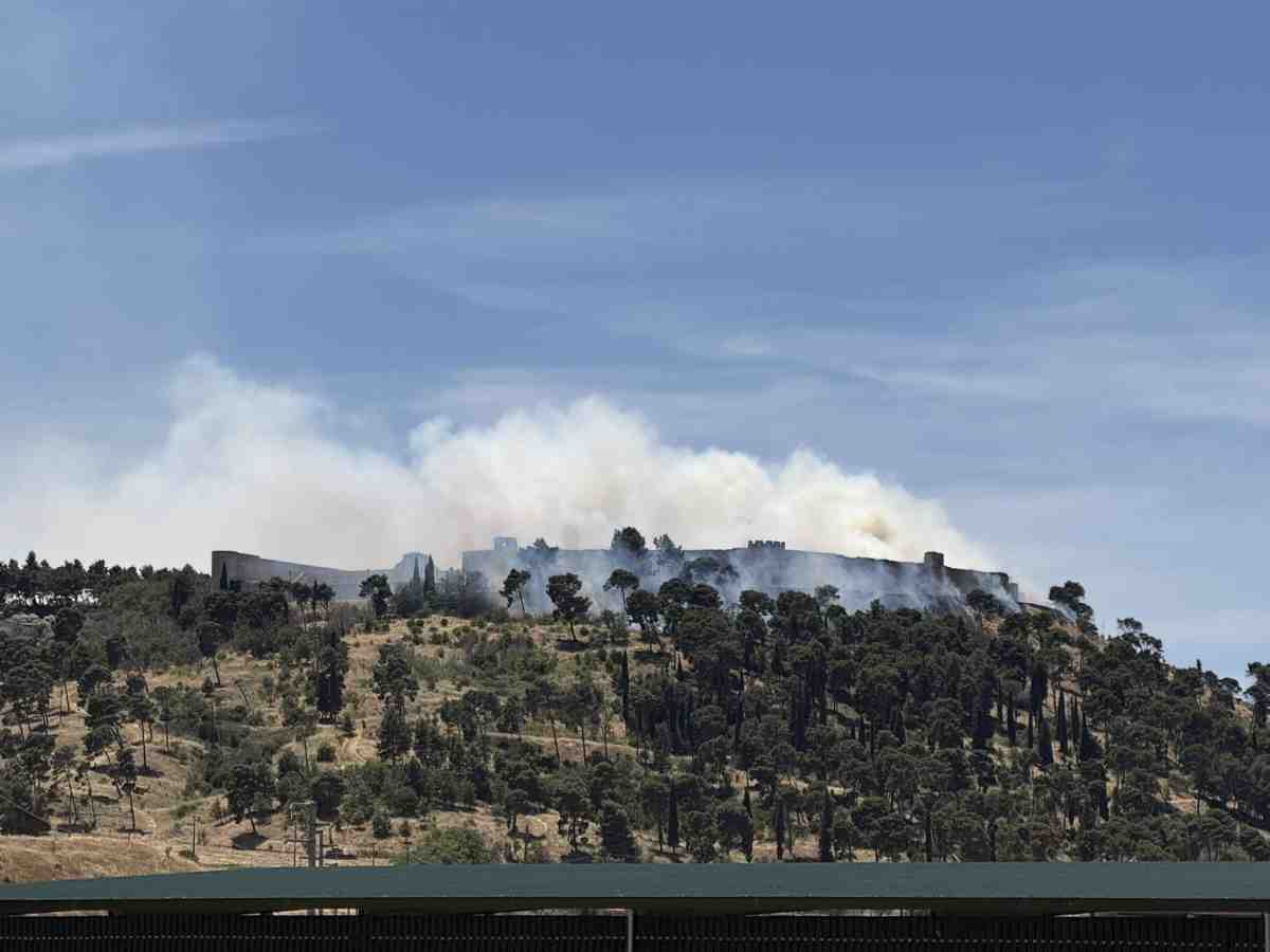 Incendi a Lucera, il sindaco Pitta: “Disgusto e avvilimento” Incendi a Lucera, il sindaco Pitta: “Disgusto e avvilimento”