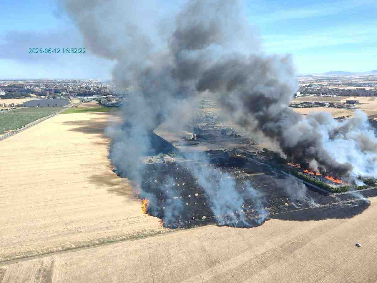Rogo a Foggia, fiamme nell’area agricola di via San Severo: squadre in azione Rogo a Foggia, fiamme nell’area agricola di via San Severo: squadre in azione