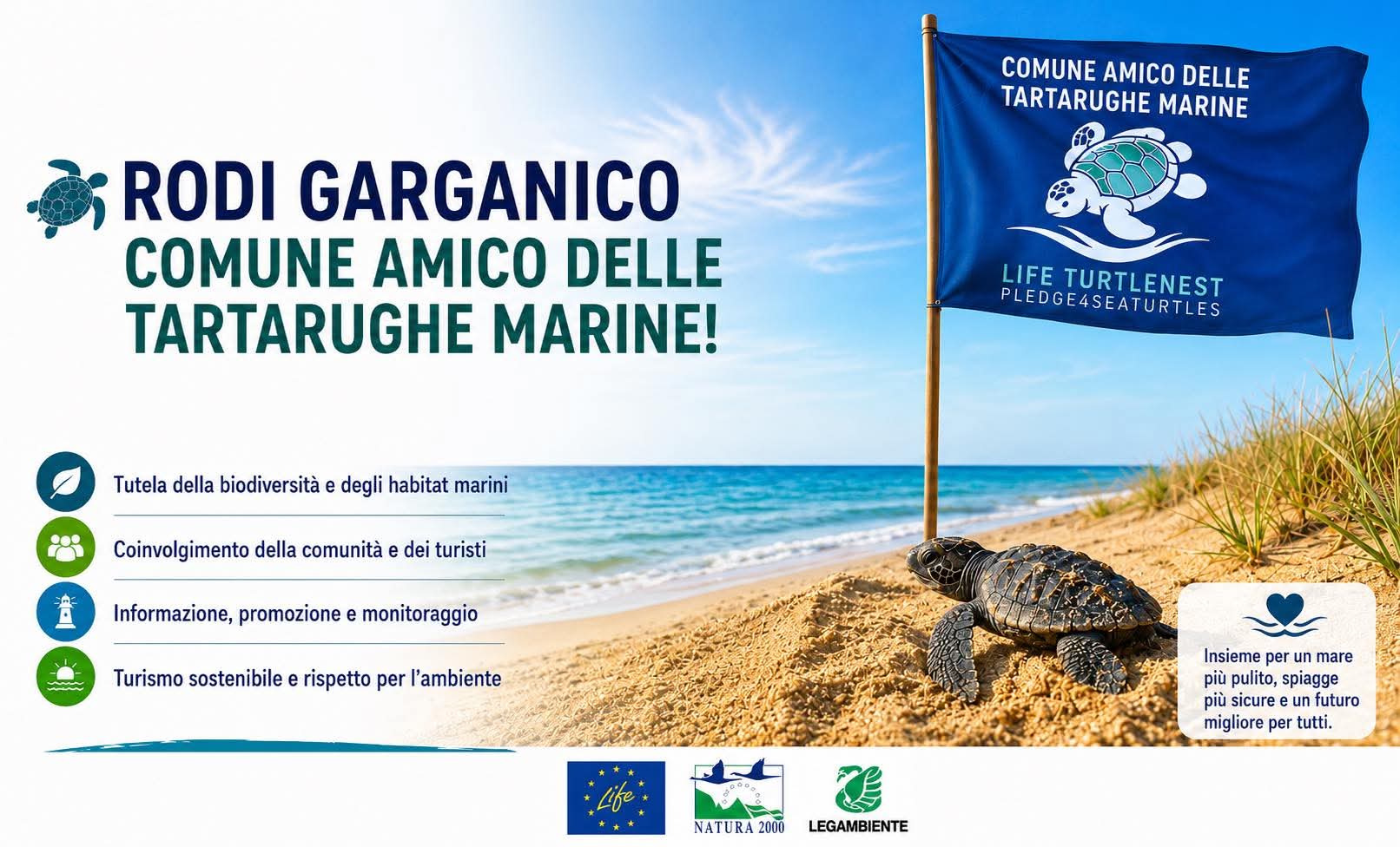 Rodi Garganico diventa “comune amico delle tartarughe marine” Rodi Garganico diventa “comune amico delle tartarughe marine”