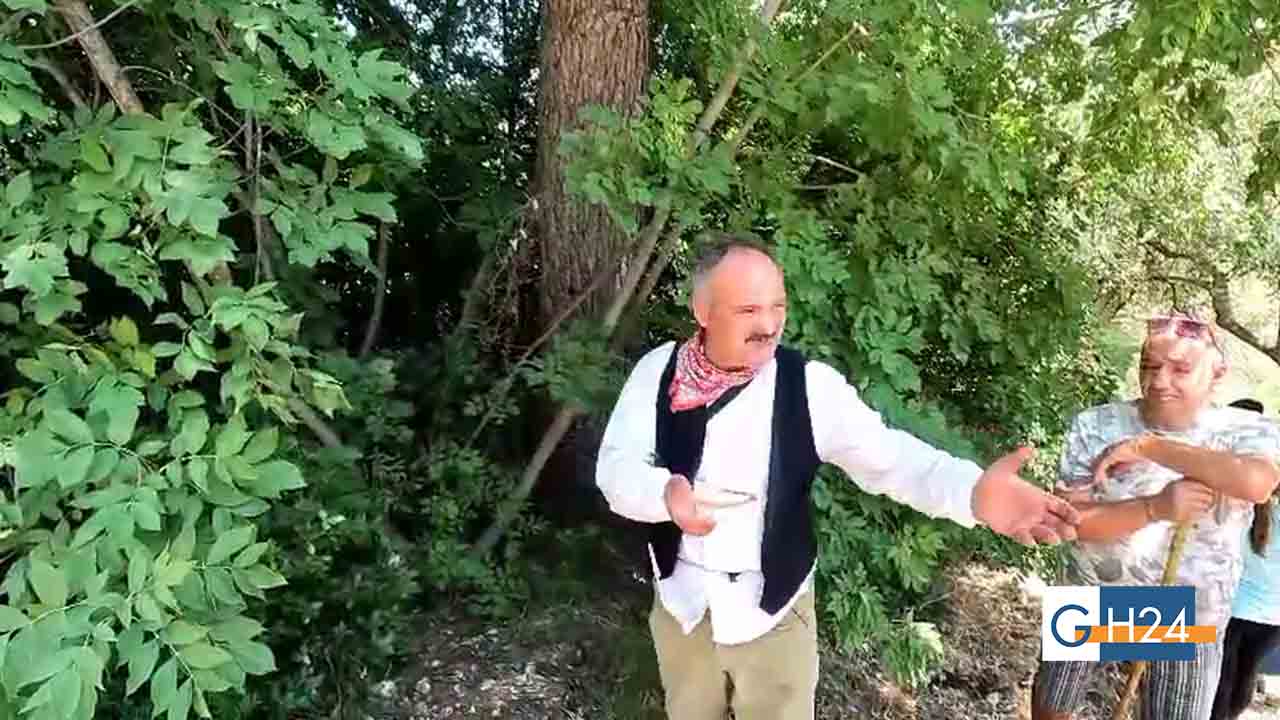 Sulle tracce della manna: a Vico del Gargano rivive l’antico “oro dolce” Sulle tracce della manna: a Vico del Gargano rivive l’antico “oro dolce”