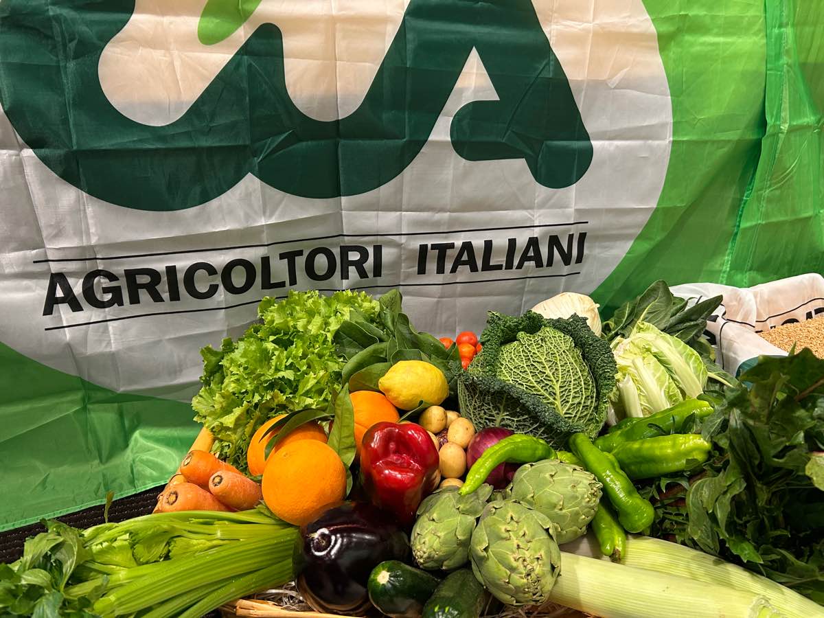Agricoltura sotto attacco, CIA Puglia: “A rischio anche la cucina italiana” Agricoltura sotto attacco, CIA Puglia: “A rischio anche la cucina italiana”