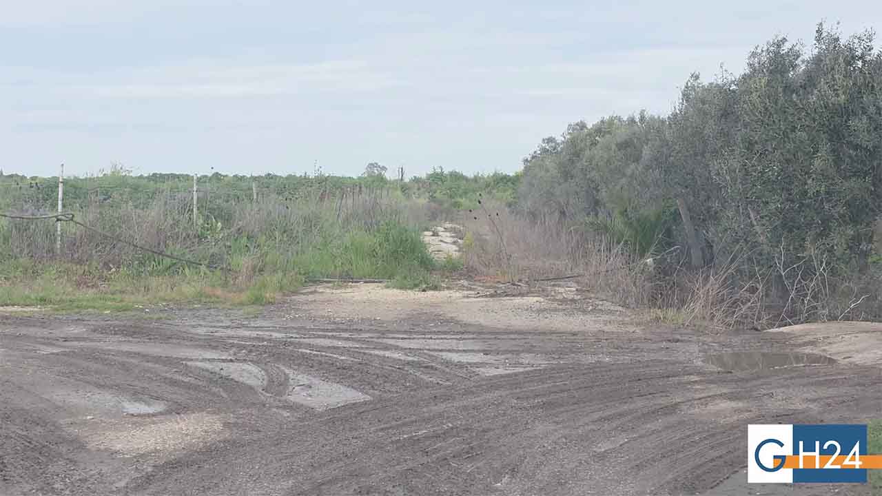 Ischitella, rinasce Foce Varano: via libera al nuovo ponte sul Canale Campana Ischitella, rinasce Foce Varano: via libera al nuovo ponte sul Canale Campana