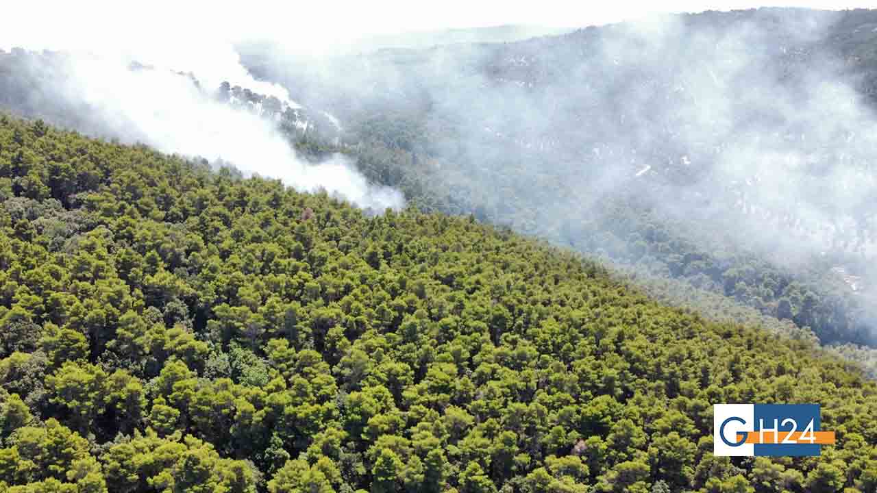 Incendio a Vico del Gargano: in arrivo un Canadair per salvare la Pineta Marzini. Il sindaco: “Non siamo soli” Incendio a Vico del Gargano: in arrivo un Canadair per salvare la Pineta Marzini. Il sindaco: “Non siamo soli”