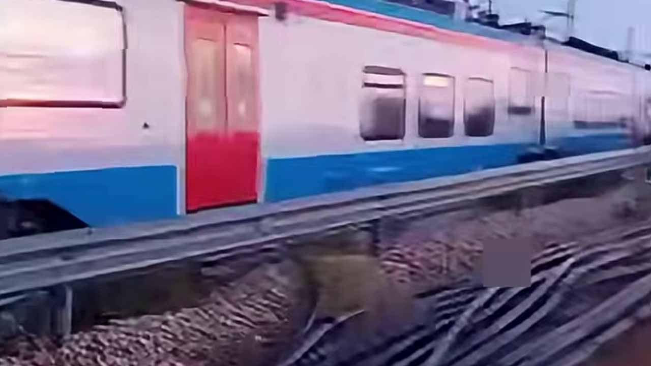 Maltempo sul Gargano: fulmine colpisce i cavi elettrici, interrotta la linea ferroviaria San Severo-Peschici Maltempo sul Gargano: fulmine colpisce i cavi elettrici, interrotta la linea ferroviaria San Severo-Peschici