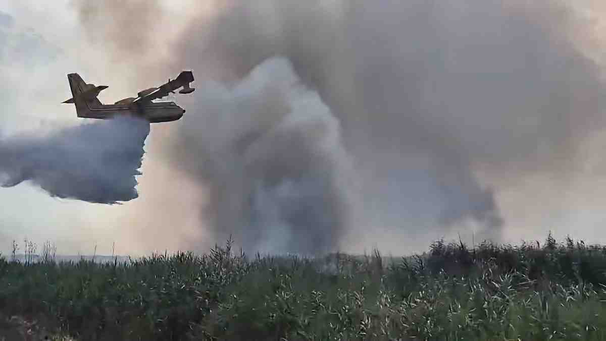 Nuovo incendio doloso all’Oasi Lago Salso a un anno dal disastro Nuovo incendio doloso all’Oasi Lago Salso a un anno dal disastro